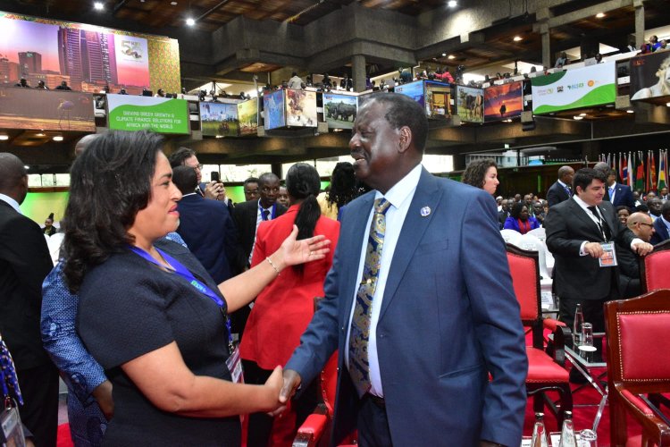 ODM Saves Passaris But Orders Her To Pay Ksh250,000