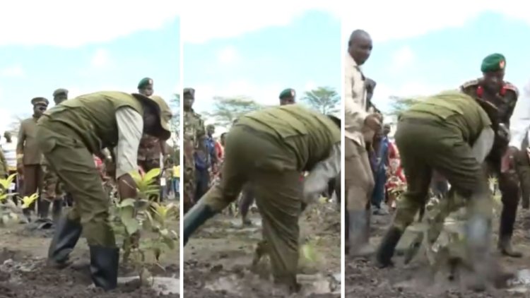 Ruto Slips, Nearly Falls During Tree-Planting Holiday [VIDEO]