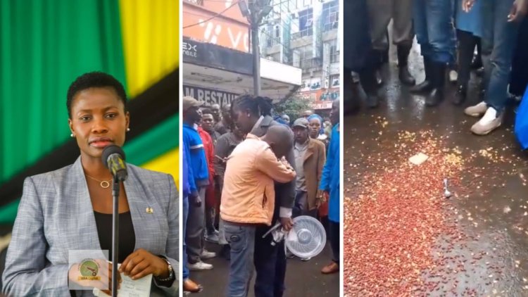PS Seeks Out Nairobi Hawker Whose Groundnuts Were Poured By Kanjos