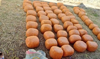 Kenya Kwanza MCA Arrested With 6 Sacks Of Bhang Inside House