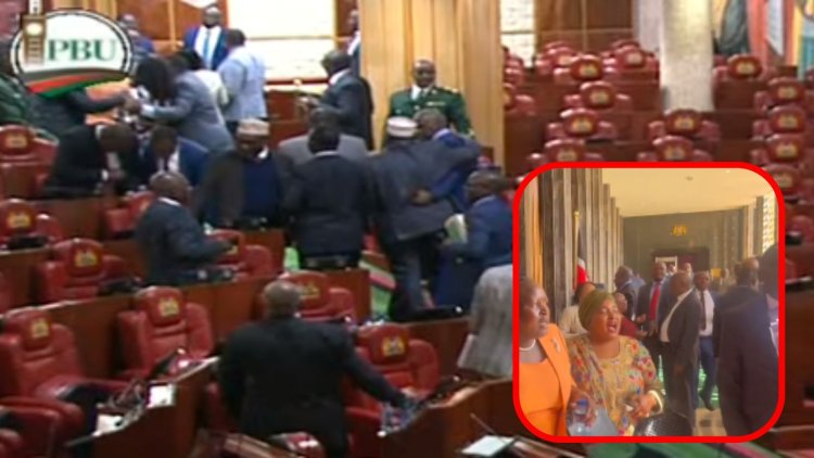 No CDF, No Parliament: Kenya Kwanza MPs Stage Dramatic Walkout [VIDEO]