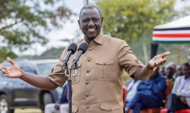 Governors Reject Proposals In Ruto Education Reforms