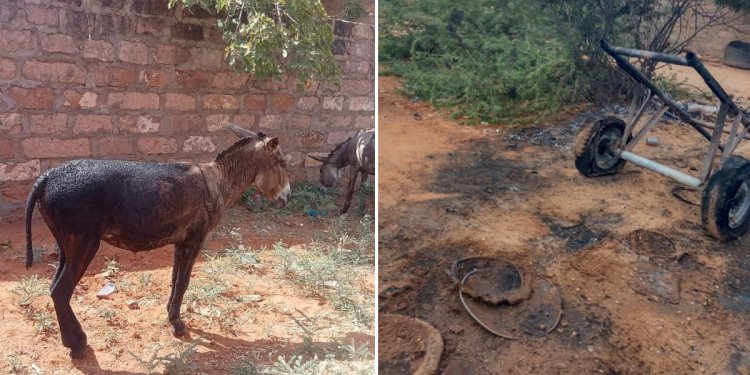 Bomb Tied To Donkey Cart Explodes At Kenya-Somalia Border, Kills Police Officer