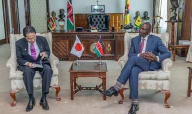 Meeting Emperor, 7 Deals: Details Of Ruto's Visit To Japan