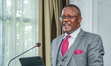 CS Owalo To Serve In Global Role Alongside Japan, Nigeria, Pakistan Ministers