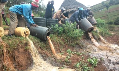 Illicit Alcohol: 2 Die As Reports Link Police Station To Kirinyaga Saga