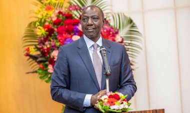 Ruto's Story Of Village Boy Living 400KM From Nairobi Working For German AI Firm [VIDEO]