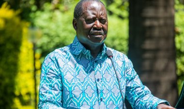 Details: Raila's Nephew Becomes Global Chair Of His AU Lobby Group