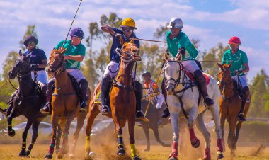 Nairobi Polo Club Speaks After Alleged Sexual Assault Incident Sparks Uproar
