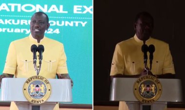 Power Blackout Interrupts Ruto's Speech [VIDEO]