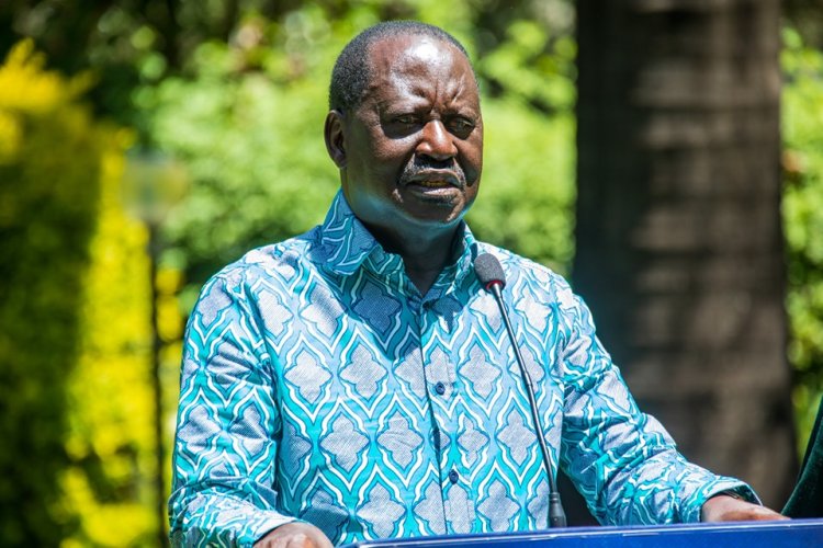 Details: Raila's Nephew Becomes Global Chair Of His AU Lobby Group