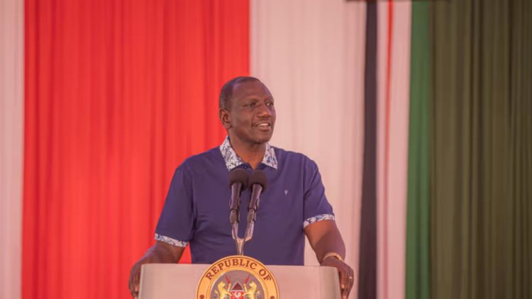 Ruto Lectures MPs After 2,000 Kenyans Shunned Jobs Paying Ksh200,000 [VIDEO]