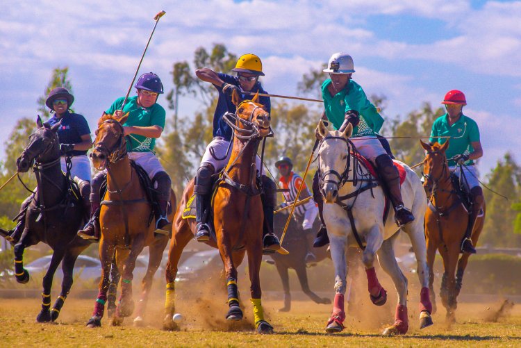Nairobi Polo Club Speaks After Alleged Sexual Assault Incident Sparks Uproar