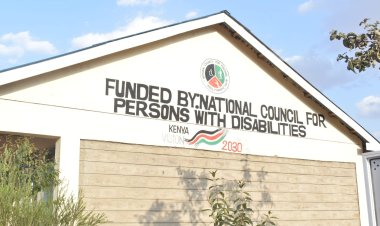 Strategies for Supporting Women and Girls with Disabilities- Sightsavers To Govt