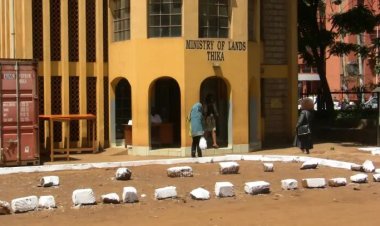 EACC Allowed To Freeze Govt Official's 17 Cars, 106 Plots & Ksh4.3 Million