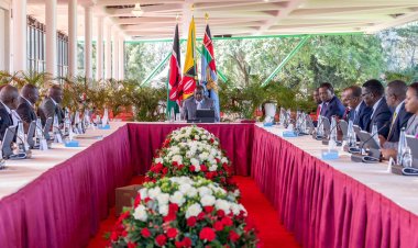 Cabinet Issues Orders To Ministry Of Health To Combat Addiction To Drugs