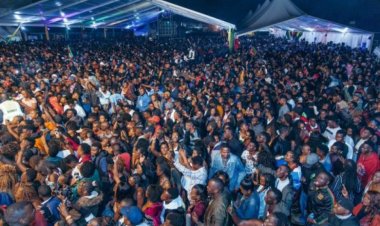 Nairobi MCAs Ban Reggae Concerts And Street Parties In Estates