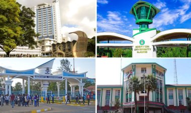 Public Universities Steal Top Slots As Kenya Dominates In Top 100 University Ranking [LIST]