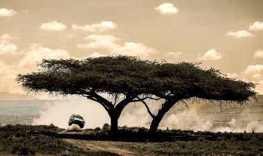 WRC Threatens To Suspend 2 Kenyan Drivers For Breaking Rules