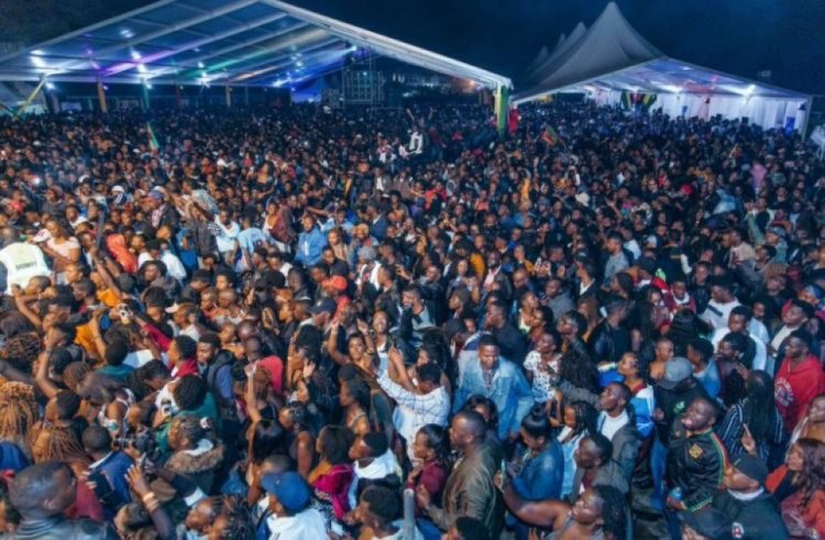 Nairobi MCAs Ban Reggae Concerts And Street Parties In Estates