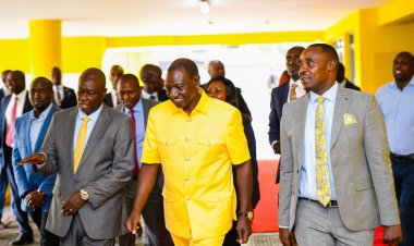 Ruto Did Not Break The Law- Malala Faults ODM's Demand For Board Chairs To Resign