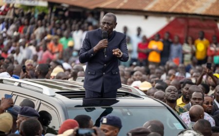 Ruto Announces Nationwide Fencing Of All Forests & Ksh900M Compensation For Kenyans