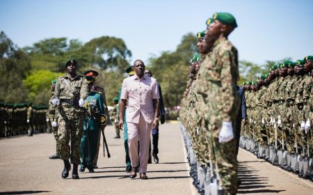 Ruto Urges KWS To Prioritise Recruiting Rangers From NYS