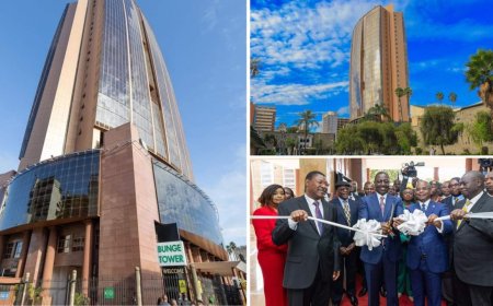 Ksh9.6B Bunge Tower: 330 Offices, Gym & Tech Allowing Kenyans To Follow MPs [VIDEO]