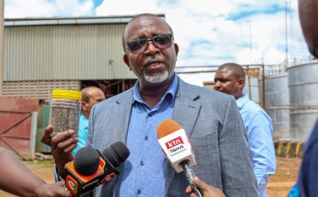 110 MPs Unite In Motion To Impeach CS Linturi