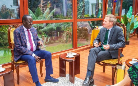 Raila Reveals His Promises Should He Be Elected AUC Chairman