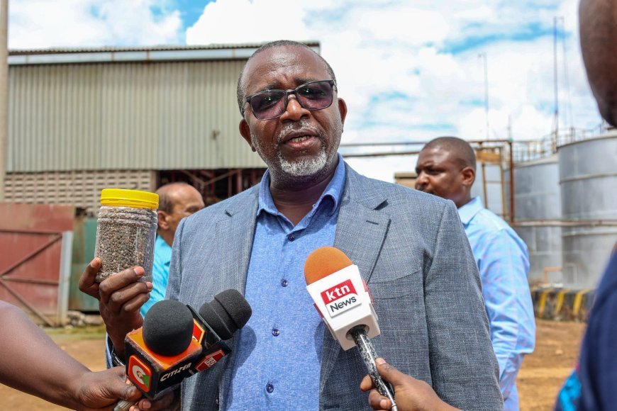 MPs Approve Impeachment Motion Against CS Mithika Linturi