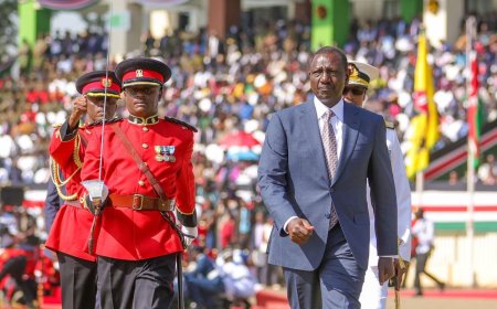 Lowering Cost Of Sexed Semen & Highlights Of Ruto's Madaraka Day Speech [FULL]