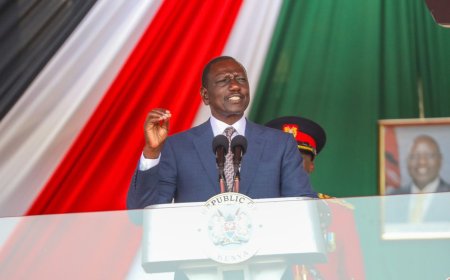 Ruto's Performance Drops From C To D- Infotrak Gives 4 Reasons