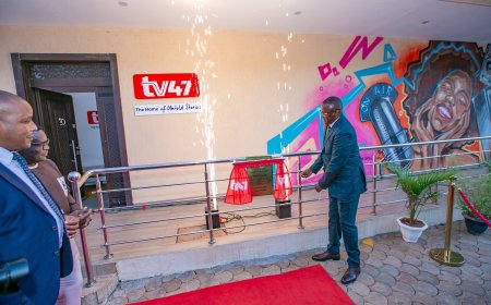 Award-Winning Journalist & Ex-Govt CEO Appointed To Run TV47 & Radio 47