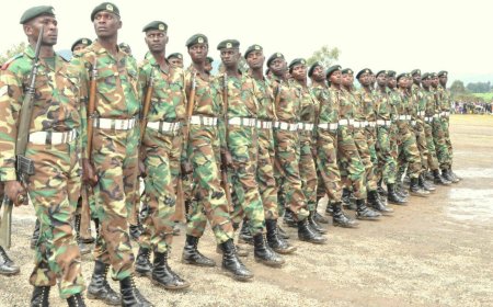 Kenya Forest Service Announces 220 Job Opportunities: How To Apply