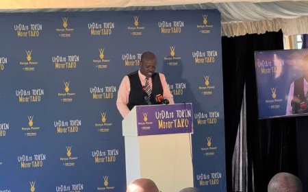 Kenya Power Issues Deadline For Kenyans To Update Their Token Meters: Here's How