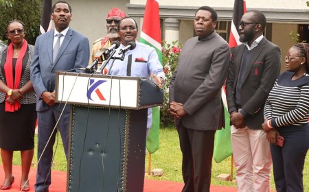 3 2024/25 Budget Allocations Termed By Azimio As 'Misplaced'