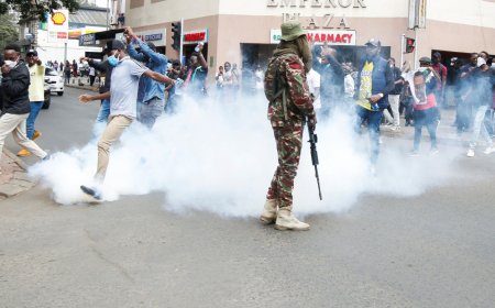 High Court Bars Police From Using Live Bullets, Teargas, Water Cannons & Arresting, Abducting Protesters