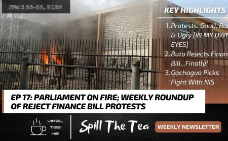 Parliament On Fire; Weekly Roundup Of Reject Finance Bill Protests