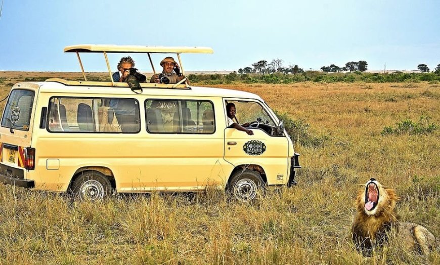 Private Cars Banned At Maasai Mara, Only 3 Types Of Cars Allowed