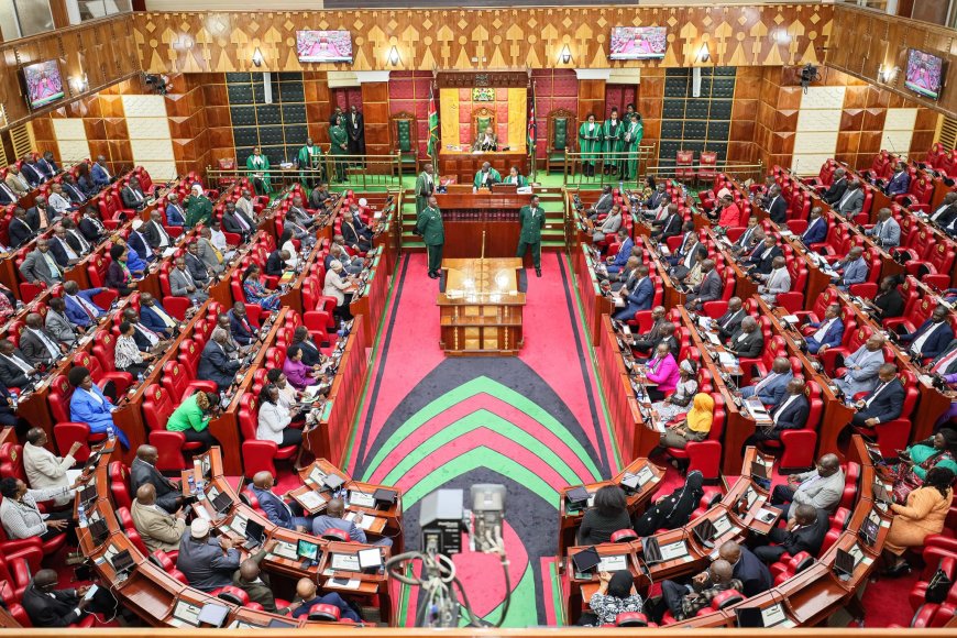 MPs Allow Deployment Of KDF To Curb Anti-Finance Bill Protests