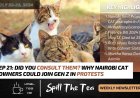 Did You Consult Them? Why Nairobi Cat Owners Could Join Gen Z In Protests
