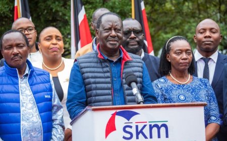 Ruto Knows Who Sponsored These Goons- Raila On Violent Protests