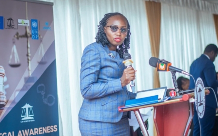 LSK President Faith Odhiambo Appointed To Ruto's Taskforce On Public Debt