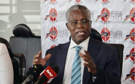 NCIC Lauds Gen Zs For Eliminating Tribalism During Protests