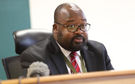 Dumping Housing Levy: Profile & Popular Cases Justice David Majanja Presided Over