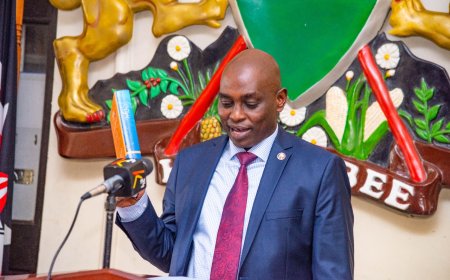 Anthony Mwaura: High Court Declares Appointment Of KRA Chairperson Null & Void