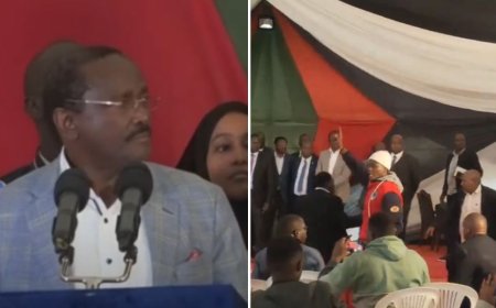 Goons Disrupt Azimio Meeting, Chase Away Journalists [VIDEO]