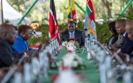 Who Are They? Profile Of New Faces Nominated To Ruto's Cabinet