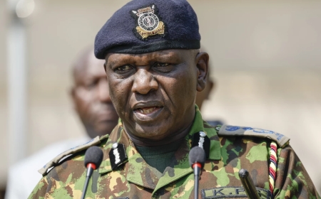 Police Didn't Ban Protests- Acting IG Kanja Gives Gen Zs New Directives